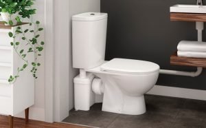 toilette