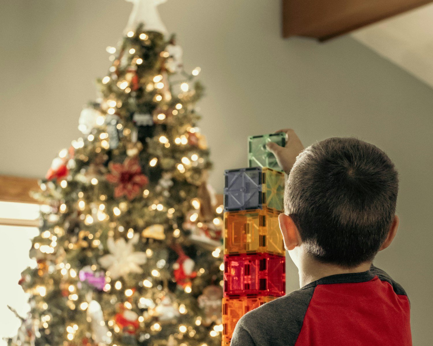 un garçon regardant un arbre décoré