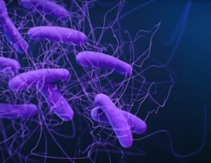 microbiote intestinal