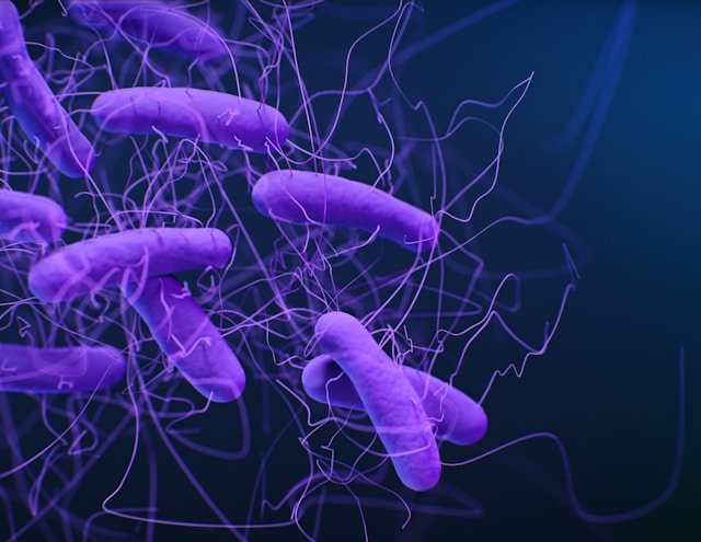 microbiote intestinal